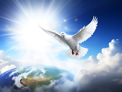 White dove bird with world ball with sky sun and clouds on background