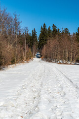 Latw rinter scenery with snow covered trail in small meadow and forest with clear sky above in...