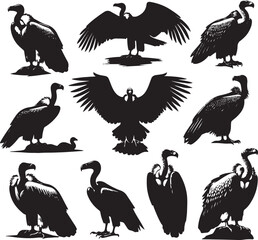 Vector Illustration of Vulture Silhouette Set