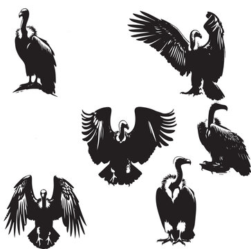 Vector Illustration of Vulture Silhouette Set