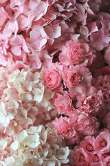 a close up of a bunch of pink and white flowers, website banner, deep colors