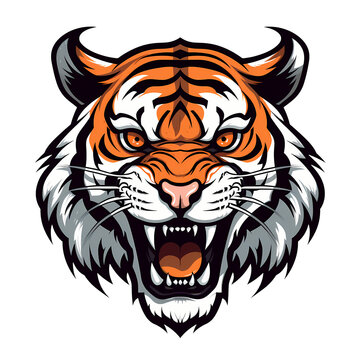 Tiger art illustrations for stickers, logo, tshirt design, poster etc