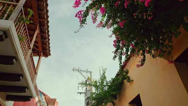 Cartagena de las Indias old town in Colombia. View of the vibrant colorful facades decorated with vibrant flowers. Spanish colonial historic district.