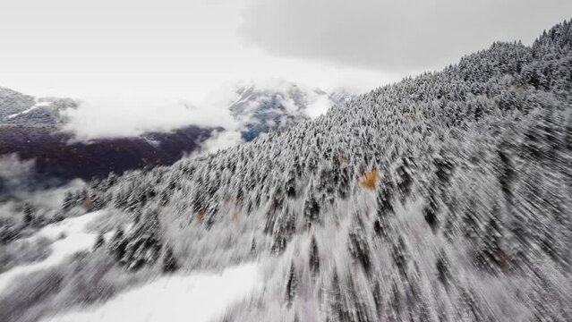 Picturesque lake and river encircled by snow capped mountains and dense pine forests filmed by drone. Man stand on the shore of it and enjoys tranquil ambiance of the scene. Winter landscape in Mestia
