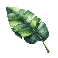 Greenery Leaves. Watercolor Illustration Clipart.