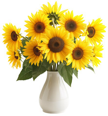 Vase with yellow sunflowers isolated on a white background