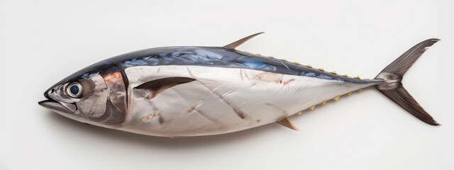 A high-quality image showcasing a fresh tuna fish, isolated on a white background. The vibrant...