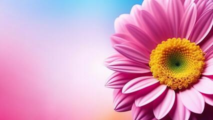 Feminine Celebration: Vibrant Card for 8th of March Festivities