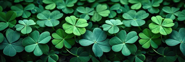 Foto op Plexiglas Green clover leaf isolated on blur background. with leaved shamrocks. St. Patrick's day holiday symbol. Lucky green clover and nature background  © Planetz