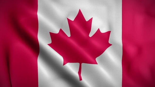 Canada waving flag, Flag of Canada Animation, Canadian Flag Closeup, 4k Canadian Flag Waving Animation
