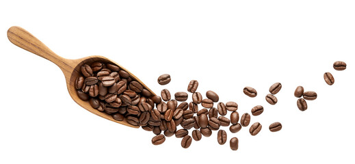 Coffee beans on wooden scoop