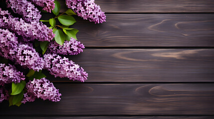 A bunch of purple lilac flowers on a dark background,,
Lilac Flowers Bouquet on Wooden Plank Background, Spring Purple Blooming Bunch, Branch over Wood Texture Vertical Mobile Wallpaper 
