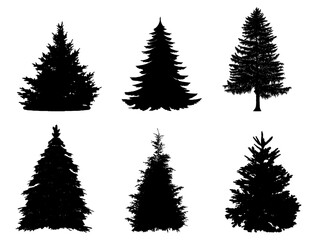 Pine tree silhouette collection on white background.