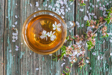 Top view for transparent cup of plant tea with cherry flowers and sakura blossom on a old wooden background