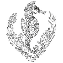 Seahorse and seaweed hand drawn for adult coloring book © kaewta