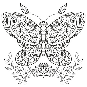 Summer flower and butterfly hand drawn for adult coloring book