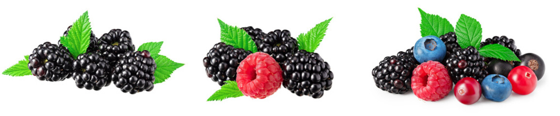 mix of blueberry, blackberry, cranberry, raspberry with leaves isolated on white background. clipping path