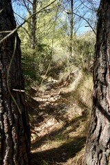 router through needles of Santa Agueda in Benicasim