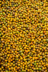 Freshly picked oranges in a juice factory - stock photo