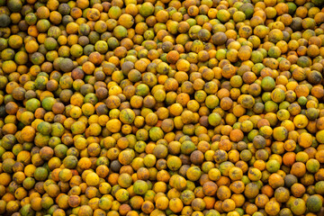 Freshly picked oranges in a juice factory - stock photo