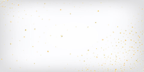 Gold, Silver VIP Flying Bokeh Confetti. Sparkling