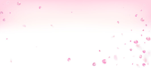 Rose Petals Falling Confetti. Flying Japanese Sakura Cherry Rose - 728372764