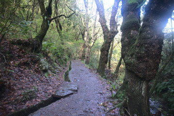 Madeira Island images - January 2024
