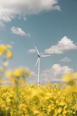 Clean energy concept, wind turbines next to yellow flower fields
