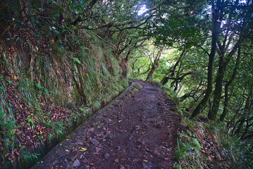 Madeira Island images - January 2024