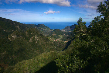 Madeira Island images - January 2024