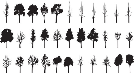 Set Trees. Hand drawn vector illustration	 - obrazy, fototapety, plakaty
