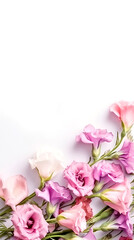 Fototapeta na wymiar Pink eustoma flowers on white background. copy space, text space, template, layout, mockup