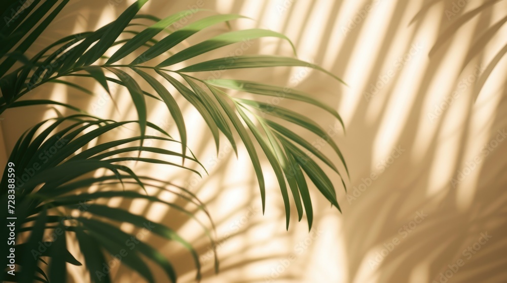 Poster A palm tree casts its shadow on a wall. Perfect for adding a tropical touch to any design