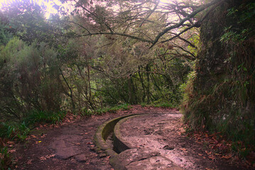 Madeira Island images - January 2024