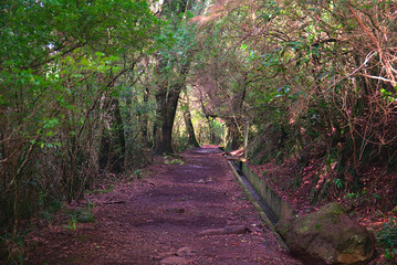 Madeira Island images - January 2024