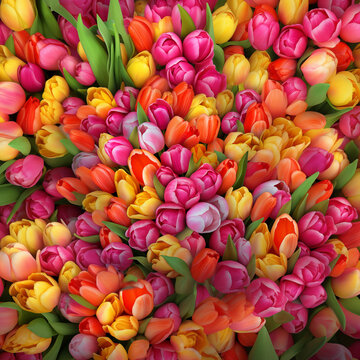 Bukiet kolorowych tulipan&oacute;w. Kartka na dzień kobiet 8 marca. Piękny bukiet kwiat&oacute;w na prezent.