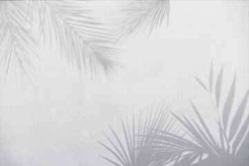 Fototapeta premium Carta da parati delicata naturale con fiori e piante esotiche. Ombre di piante su pareti. Decorazione per parete. carta da parati per camera da letto. Natural delicate wallpaper with exotic flowers.