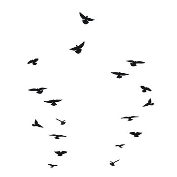Sketch silhouette of a flock of flying black birds. Doves, pigeons, raven, crow, gull, seagull, sparrow, isolated vector
