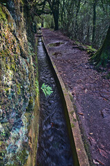 Madeira Island images - January 2024