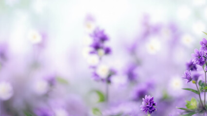Obraz premium A close-up of lavender flowers with a blurred background. The flowers have a purple hue and are surrounded by greenery
