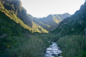 Madeira Island images - January 2024
