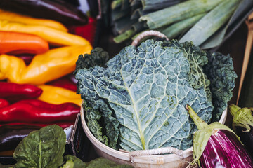 Chou vert sur un &eacute;tal de march&eacute; de producteurs bio	
