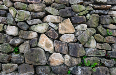 Beautiful stone wall with some green plant between gaps
