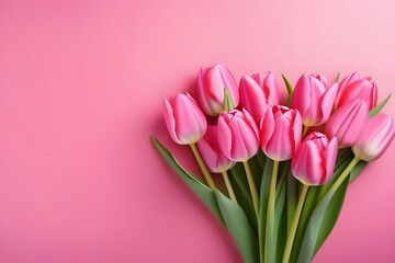 Beautiful Bouquet of Pink Tulips Isolated on Soft Pink Background