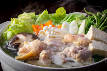 日本の水炊きを食べる