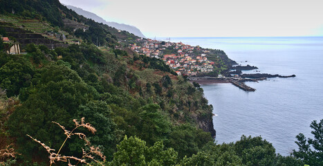Madeira Island images - January 2024