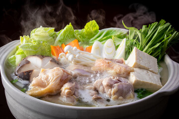 日本の水炊きを食べる