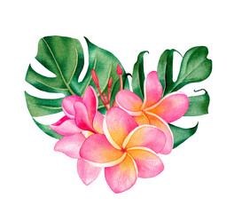 Watercolor floral tropical bouquet with plumeria and leaves, isolated on white background. Hand drawn illustration for cosmetics and perfume packaging design © Эльнара