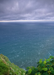 Madeira Island images - January 2024