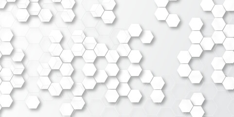  Abstract white and gray hexagonal honeycomb pattern background. hexagon concept design abstract technology background vector. 3d honeycomb paper texture gray copy space, Wallpaper for text. - obrazy, fototapety, plakaty